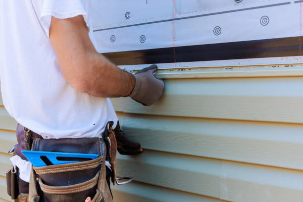 Best Insulated Siding Installation  in Montevideo, MN